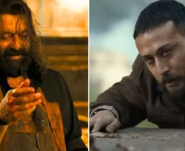 16 09 2025 baaghi 4 collection day 11 24048543