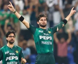 90794093 f780 4e25 a054 2105d2f005f5.jpg