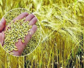 orig 1921 1 1 1 1 1 1 1 1 1 1 1 1 1 1 1 1 1 1 1 1 1 1 1 1734653397 1