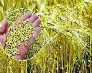 orig 1921 1 1 1 1 1 1 1 1 1 1 1 1 1 1 1 1 1 1 1 1 1 1 1 1734653397 1