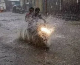 rajasathana 3159c6275df7acc79164667421309854