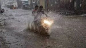 rajasathana 3159c6275df7acc79164667421309854