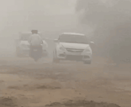 1000488774 1759902263