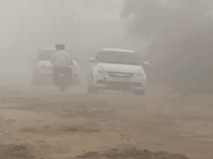 1000488774 1759902263