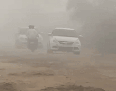 1000488774 1759902263