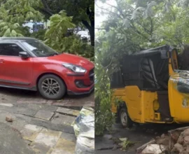 Montha Cyclone 1761705133966