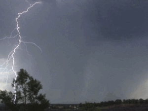 ezgifcom animated gif maker 2024 05 06t04573151317 1749952798