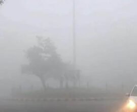 m3p3b9kg rajasthan weather 625x300 13 November 24