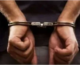 mixcollage 29 nov 2024 12 35 pm 4356 1732864095