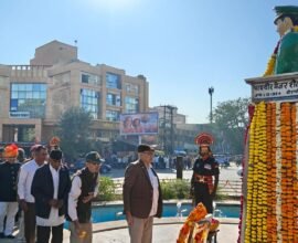 1001115206 1763491654