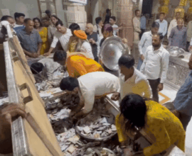 1004680096 1763521001