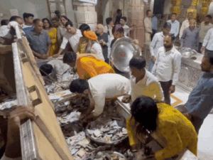 1004680096 1763521001