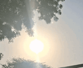 1004804603 1763093674