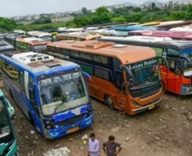 60 77 1762316318 765293 khaskhabar 1