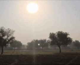 ezgif 2 8871e7d20e17310325251762658630 1762697297