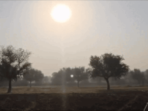 ezgif 2 8871e7d20e17310325251762658630 1762697297