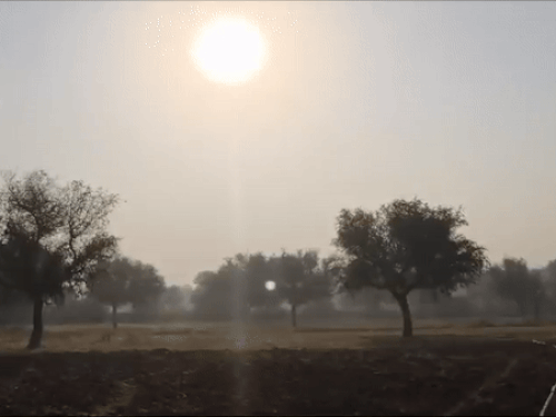 राजस्थान में आज शीतलहर का अलर्ट:एक हफ्ते तक रहेगा असर, दिन का तापमान भी गिरने लगा 3 ezgif 2 8871e7d20e17310325251762658630 1762697297