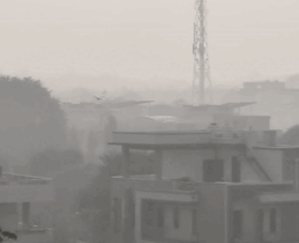 ezgifcom resize 51733233461 1762960713