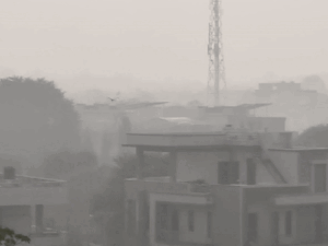 ezgifcom resize 51733233461 1762960713