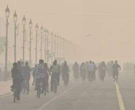 navjivanindia 2024 10 27 yfk0714x Delhi pollution1