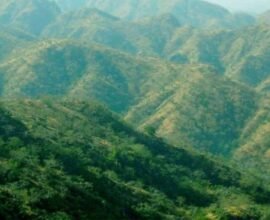 aravali mountains 1766323533758 1766323533889