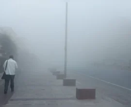 m1pb1f6 jaipur 625x300 03 December 25