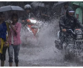 1500x900 2557910 baris