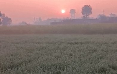 राजस्थान में होगी बारिश, तापमान 5 डिग्री से नीचे:अलवर-फतेहपुर सबसे ज्यादा ठंडे, आज से आएगा मौसम में बदलाव 10 e1 1768572055