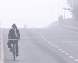 jfpexkde7zmt40wk ezgifcom resize1767669186 1767745497