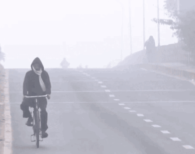 jfpexkde7zmt40wk ezgifcom resize1767669186 1767745497