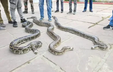 uknai01vis10035 20022025124625 2002f 1740035785 497.jpg