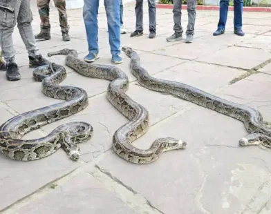 uknai01vis10035 20022025124625 2002f 1740035785 497.jpg