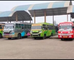 c7a1c2e8 d5f7 4eaf b7b8 f0f1ebf2f6c9 1704098085538