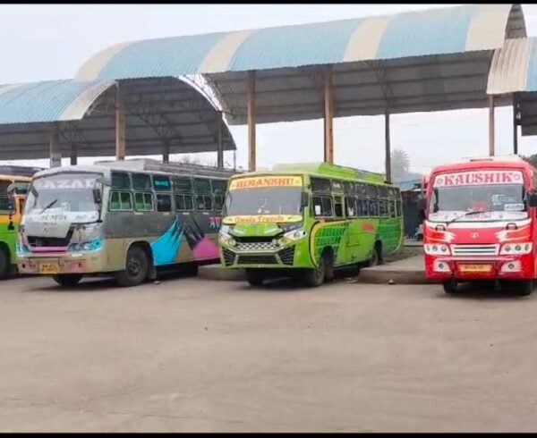 c7a1c2e8 d5f7 4eaf b7b8 f0f1ebf2f6c9 1704098085538