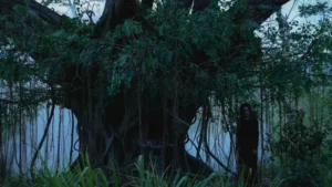 2 घंटे 1 मिनट की खौफनाक फिल्म का Netflix पर तांडव, भारत में कर रही ट्रेंड; रूह कंपा देगी मूवी की कहानी 3 deathh 1770362304551 v