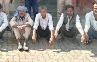 1004392709 1772434676