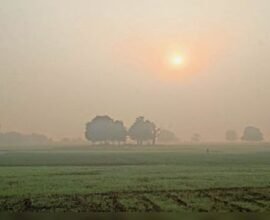 7baran pg1 01612729935 1772629397