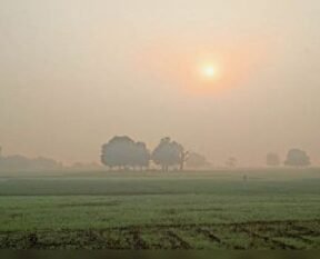 7baran pg1 01612729935 1772629397