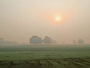 7baran pg1 01612729935 1772629397