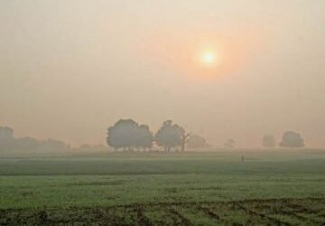 7baran pg1 01612729935 1772629397