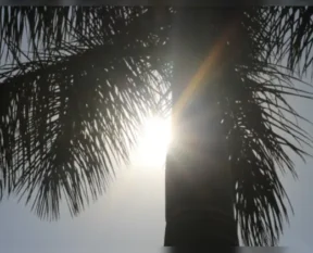 ls8vsgsg 4 625x300 24 March 25