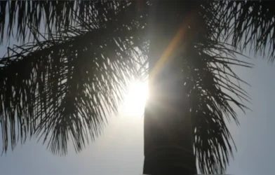 ls8vsgsg 4 625x300 24 March 25