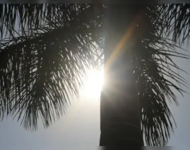 ls8vsgsg 4 625x300 24 March 25